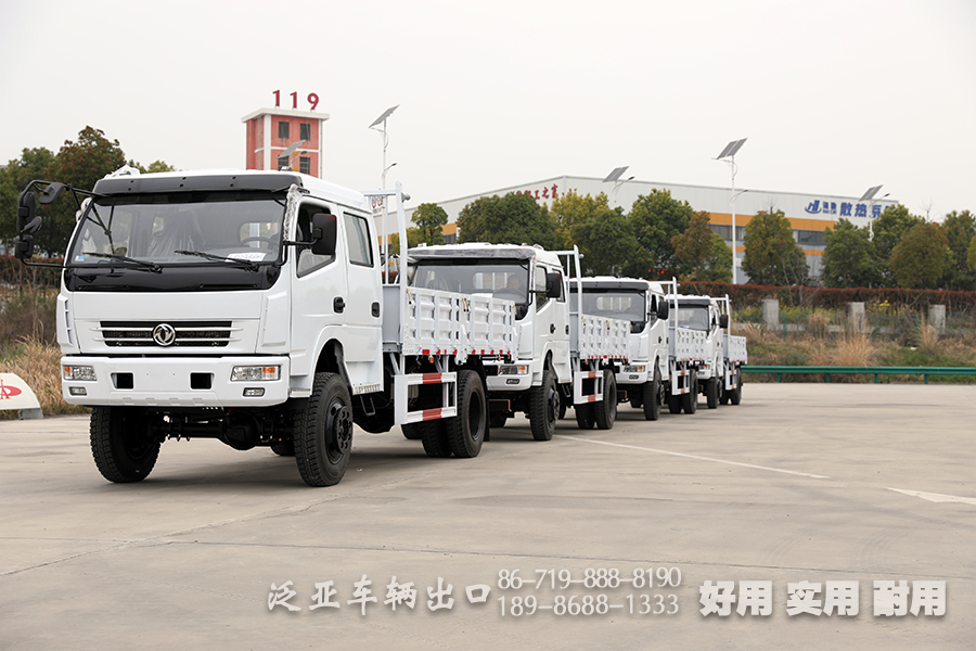 4*4东风卡车,轻型卡车,越野卡车,东风双排卡车,3吨小型卡车,货箱4.2米
