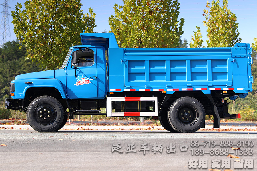 东风4*2底盘,4*2轻卡,尖头越野底盘,越野底盘定制,116马力底盘,小型卡车底盘,EQ3092,轻型微卡,微卡底盘改装